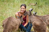 Assicurazione Backpackers